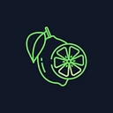 Copylime affiliate program logo