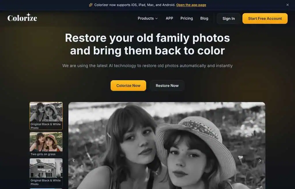 Imagecolorizer AI photo colorization and restoration