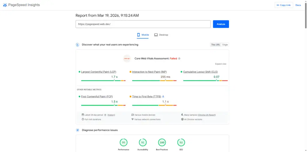 Google PageSpeed Insights showing Core Web Vitals scores and performance metrics